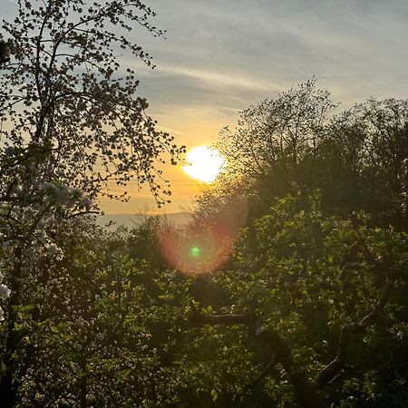 Pettinger Stoeckl Villa Heimschuh Екстериор снимка