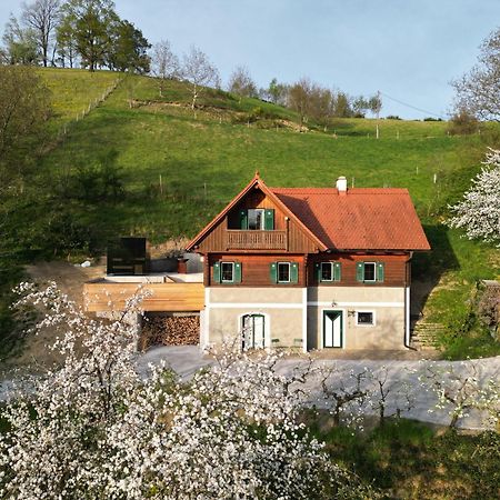 Pettinger Stoeckl Villa Heimschuh Екстериор снимка